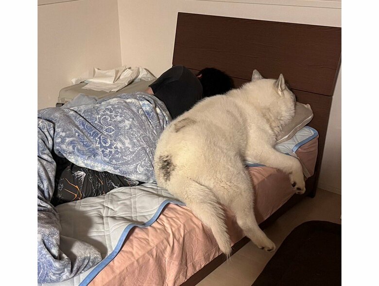 背中にピッタリとくっついる（提供：斑柄兄妹（銀太と緋那子）さん）