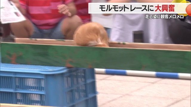 あれれ、くるっとUターン