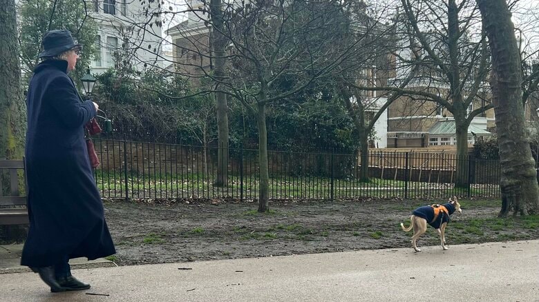 公園内では、犬が自由に走り回っている。