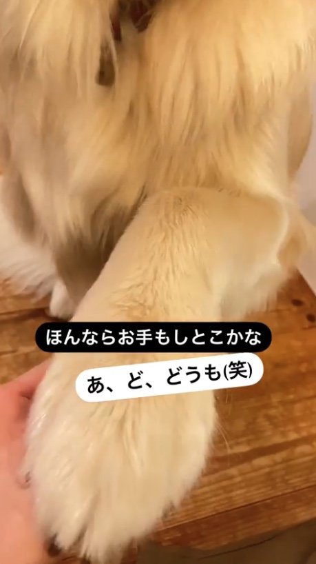 提供：エマさん