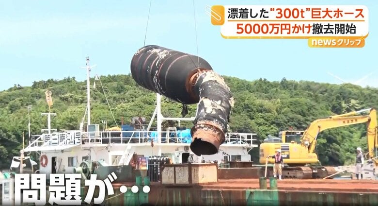 撤去費用は約5000万円