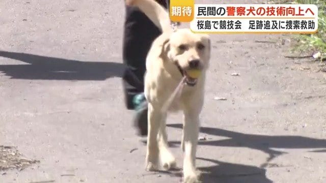 笑顔で戻ってきたカムイくん