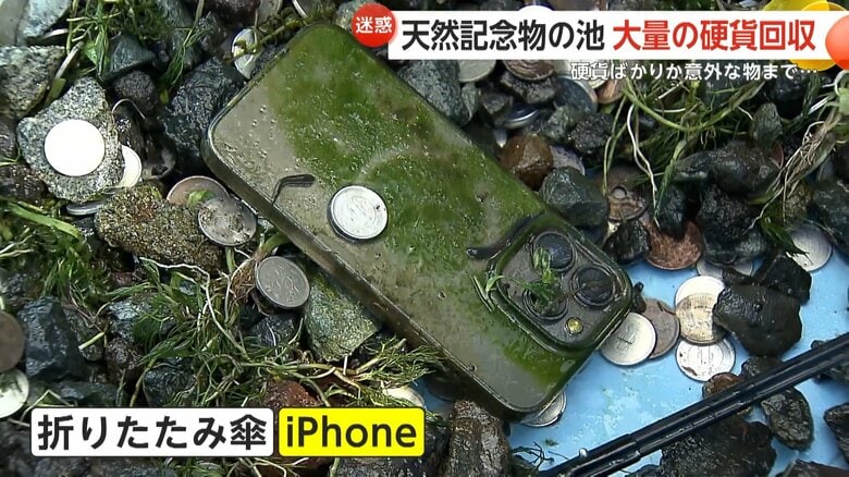 折りたたみ傘やiPhoneまで回収された