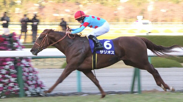 2019年２歳マイル王に輝いた兄・サリオス