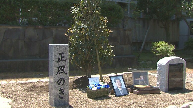 植樹された『正風のき』