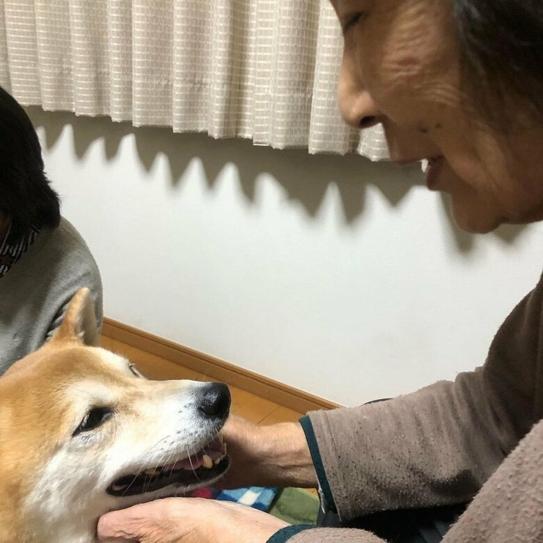 おばあちゃんになでられる福くん