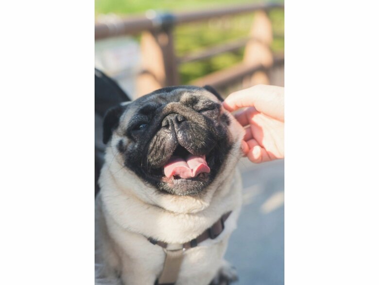 提供：よこむすびさん