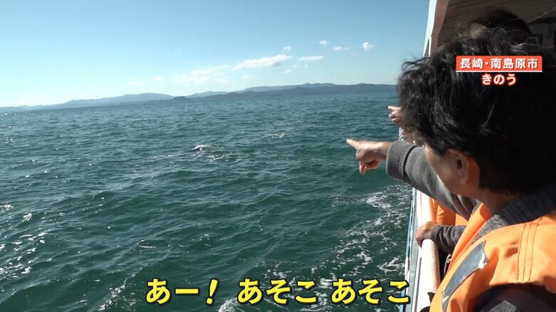 イルカウォッチングを楽しむ観光客