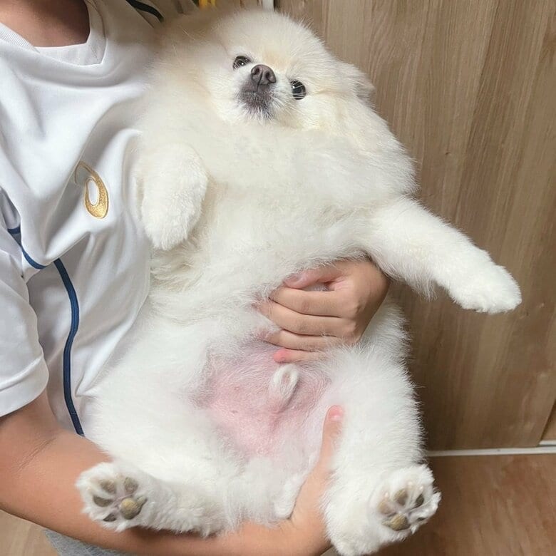 “無”になり時間が過ぎるのを待っている