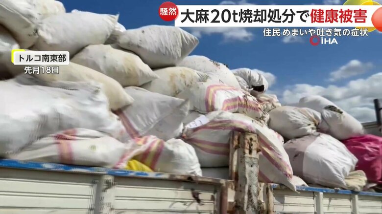 焼却処分が行われたという集められた大麻の量は20t