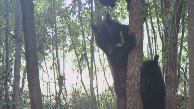 提供：大井徹特任教授