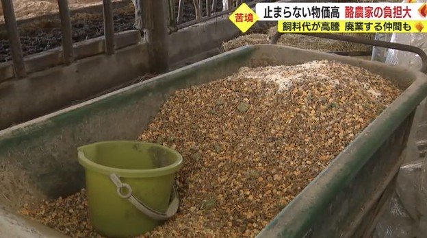 輸入の配合飼料は1kg35円から80円台に