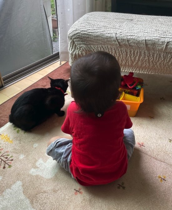 提供：ゴンゾウR4さん