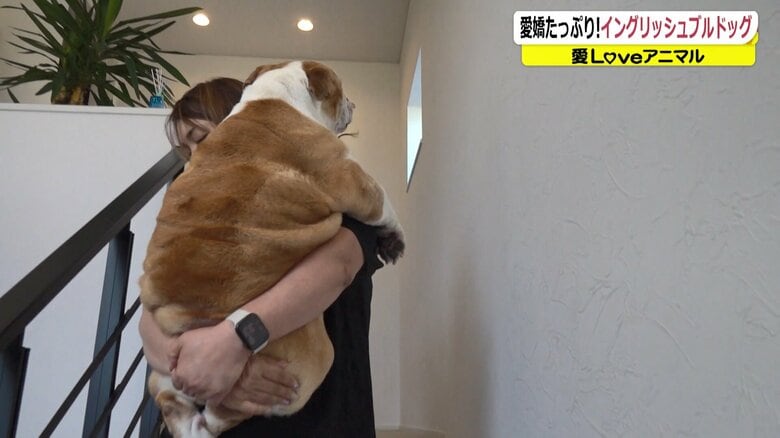 ルーシィちゃんを抱っこして慎重に移動する山本さん