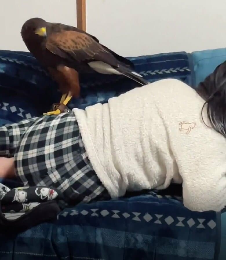 そのまま寝に戻る