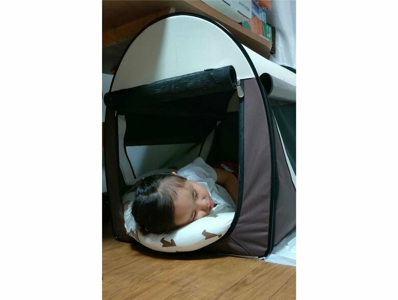 提供：kurumi-chiharuさん