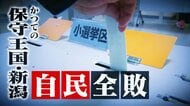田中角栄元首相が築いたかつての保守王国・新潟で自民党が大敗したワケ…“2000万円支給”で強まった逆風…野党共闘・保守分裂の影響も