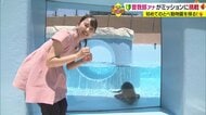 新人アナがさまざまなミッションに挑戦！　147種636の動物たちに会える「とべ動物園」の魅力に迫る【愛媛発】