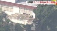 ワニに手をかまれて軽傷 鉢植えを交換していたら…警察が当時の状況を捜査 静岡・熱川バナナワニ園