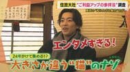 大阪人の「イラチ」な性格が生んだ珍百景？住吉大社の“重要文化財”に賽銭が刺さる衝撃の光景　コンプリートまで最低24年の“招き猫”の謎に大東さん「エンタメ過ぎない！？」【大東駿介てくてく学】