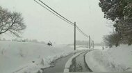 飼い犬の捜索中クマに襲われる　女性が顔にけが　雪道についた足跡たどる途中　岩手県奥州市