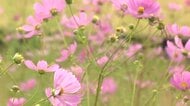 4日富山 4観測地点で今季一番の冷え込み 富山市は初めて15℃下回る