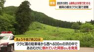 観光ワラビ園で行方不明の男性　心肺停止の状態で発見　山形・鶴岡市