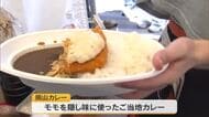 隠し味は特産品のモモ　人気インフルエンサーが選んだ「岡山カレー」が一堂に【岡山】