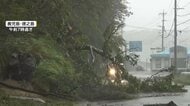台風18号影響で各地が猛暑　子どもの“夏休みの宿題”を直撃　ミニトマトの葉っぱ枯れ実がつかず観察日記ピンチ