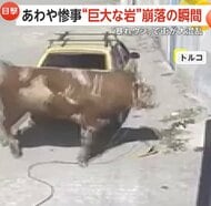 【あわや惨事】巨大な岩崩落の瞬間…斜面でショベルカー作業中、暴れ牛が車に突進…目があった人の運命は？　トルコ