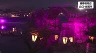 夜桜シーズン到来！桜の名所「錦帯橋」ぼんぼり灯が点灯　ライトアップされた幻想的な錦帯橋も