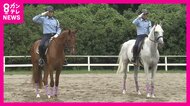 “馬で警備”京都府警「平安騎馬隊」で2頭お披露目　一時は「殺処分」も検討された若駒「大江号」治療と訓練経てデビューへ