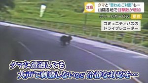 5月はクマの活動活発に 思わぬご対面に要注意(島根・松江)