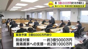 鳥インフルの防疫対策や養鶏農家支援 鹿児島県5億6000万円余りを予算計上
