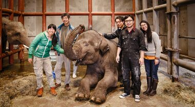 世界初!象の「しわ」を体感できるグラス『shiwa glass』ができるまで