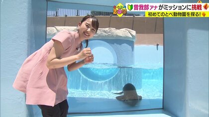 新人アナがさまざまなミッションに挑戦！　147種636の動物たちに会える「とべ動物園」の魅力に迫る【愛媛発】