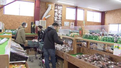 【春野菜がピンチ】「1週間から10日遅れている」北海道で旬のアスパラや葉物野菜に生育遅れ―背景に例年にない“雨と日照不足”札幌では4月に雨が降った日は20日間も