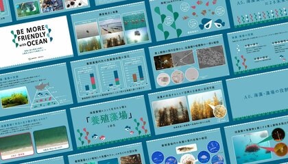 海藻の海面養殖による生態系への定量調査報告書「GOOD SEA Future Report」を公開