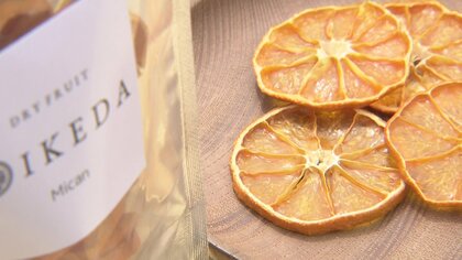 茶園が作るドライフルーツ　イチゴにみかん、地元の“規格外”果物をおいしく…利益より「生産者のため」【長崎発】