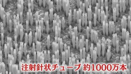 北九州市 “新興・スタートアップ企業の出現率”全国トップ！ 革新的な技術を新ビジネス育てる仕組みとは【福岡発】