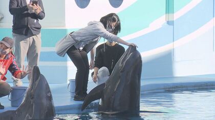 魅力の“ふれあい”困難に…苦境の水族館が踏み切った「有料会員専用アプリ」　イルカやペンギンの日常を配信、飼育員との交流も