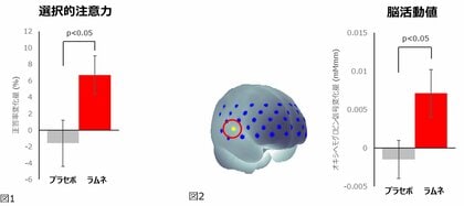 ぶどう糖含有ラムネ菓子摂取後の認知テストにおいて選択的注意力の向上と一部の脳活動値の上昇が確認され、その際に集中している可能性が示唆されました。