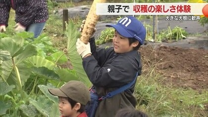 大根堀りに大興奮！　親子で秋の収穫・食の楽しさ満喫　「農業探検隊・収穫祭」開催　山形