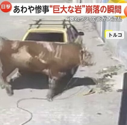 【あわや惨事】巨大な岩崩落の瞬間…斜面でショベルカー作業中、暴れ牛が車に突進…目があった人の運命は？　トルコ