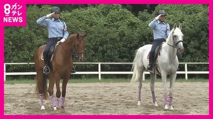 “馬で警備”京都府警「平安騎馬隊」で2頭お披露目　一時は「殺処分」も検討された若駒「大江号」治療と訓練経てデビューへ