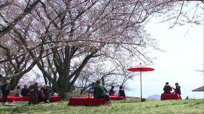 サクラの7割がピンチ！幹や枝が切られて痛々しい姿に…　NYタイムズ紙で紹介された名所に「危機」【香川発】