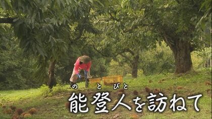 “能登で最後の収穫の秋”能登栗に惚れ込み19年…地震を機に能登を離れる決断をした栗農家松尾さん　