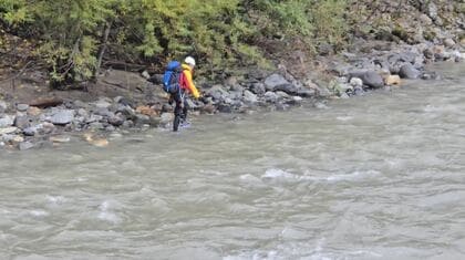 「悲鳴が…」大雨で増水の川に転落、流されたか　車中泊の予定…東京の78歳女性が行方不明　上高地に通じる道路沿いの駐車場