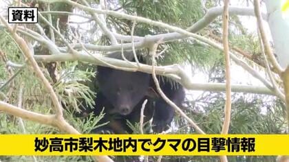 【クマ目撃情報】新潟・妙高市でクマ1頭目撃　国道18号を横断して東へ　警察と市が注意呼びかけ
