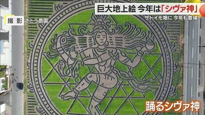 サトイモ畑にヒンドゥー教の「シヴァ神」降臨！　巨大「地上絵」に祈る豊作と未来への期待【山形発】